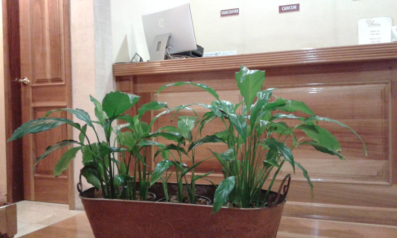 Cancun International Suites Dış mekan fotoğraf